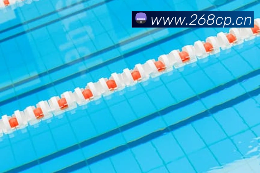 开云官方版入口平台生态图