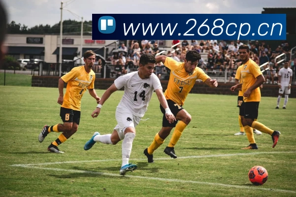 开云官方版入口全站App